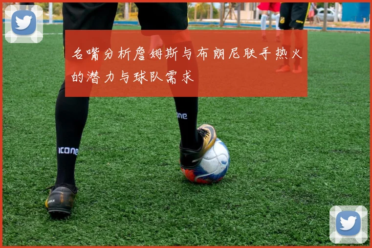 名嘴分析詹姆斯与布朗尼联手热火的潜力与球队需求